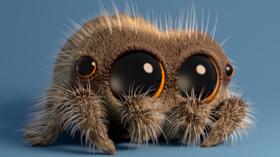 spider bot