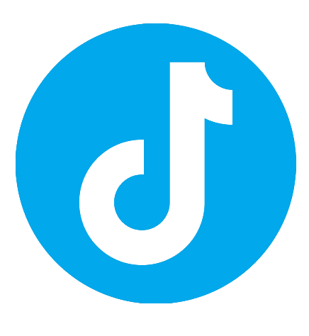 TikTok Ads